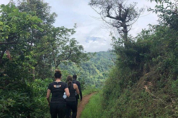 Materuni Coffee Tour and Waterfall Day Trip with Packed Lunch from Moshi (9/12)