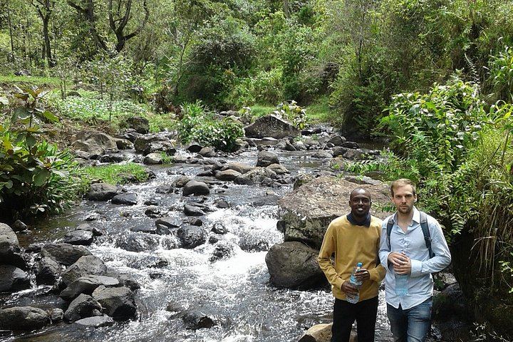 Materuni Coffee Tour and Waterfall Day Trip with Packed Lunch from Moshi (2/12)