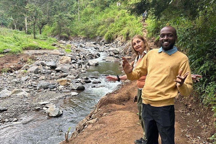 Materuni Coffee Tour and Waterfall Day Trip with Packed Lunch from Moshi (10/12)