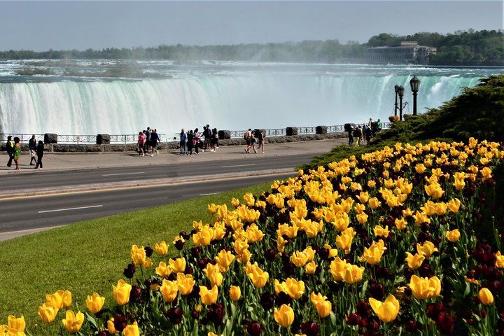 Nine-Hour Niagara Falls Trip from Toronto with Skip-the-Line Cruise and Welland Canal (4/12)