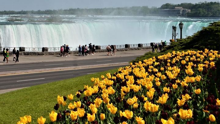 Nine-Hour Niagara Falls Trip from Toronto with Skip-the-Line Cruise and Welland Canal (4/12)