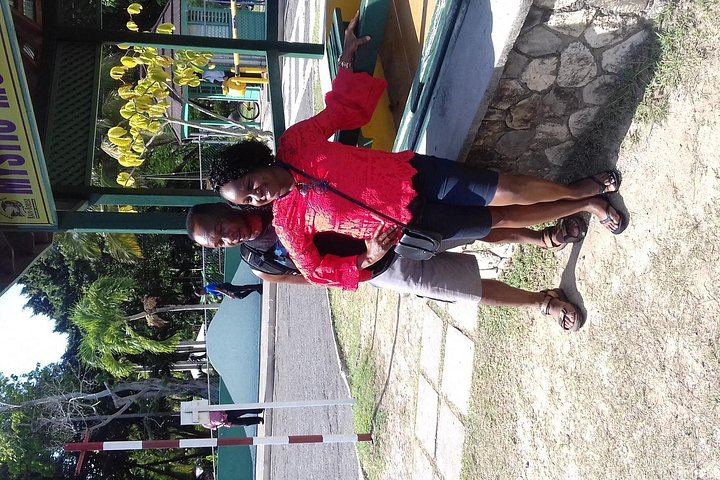 Dunn's River Falls Day Trip from Montego Bay with Hotel Pickup and Fees Included (3/5)
