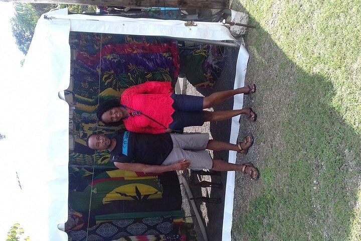 Dunn's River Falls Day Trip from Montego Bay with Hotel Pickup and Fees Included (4/5)