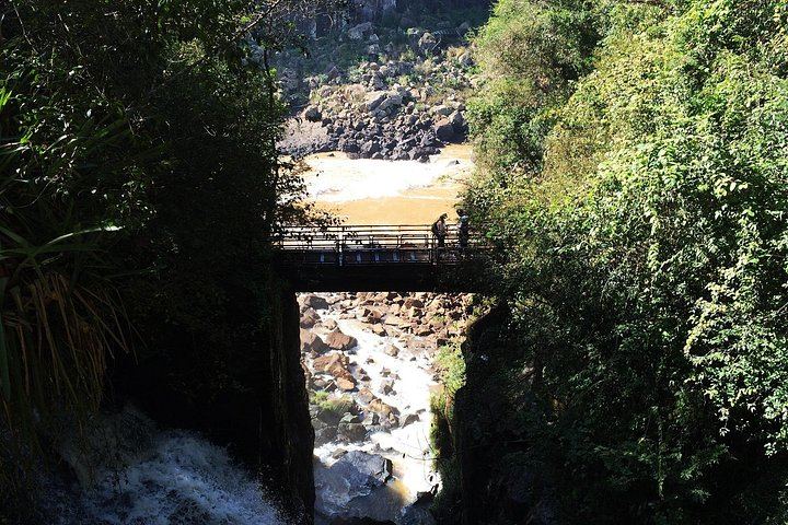 Iguassu Falls from Foz do Iguacu: Argentine Upper Circuit, Optional Brazil Side (6/11)