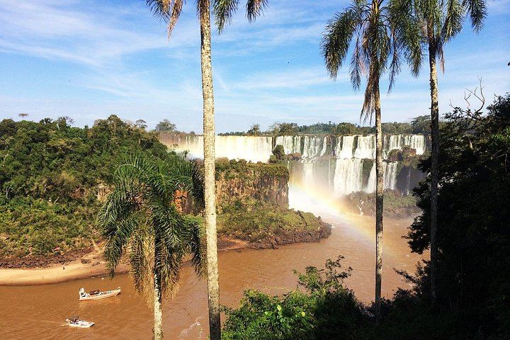 Iguassu Falls from Foz do Iguacu: Argentine Upper Circuit, Optional Brazil Side (11/11)