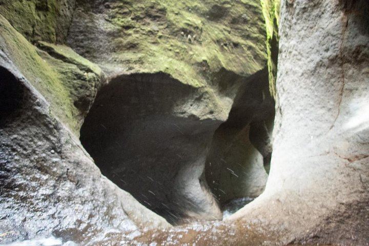 Small-Group Canyoning in Dominica with a Qualified Guide, Beginners to Athletes (10/12)