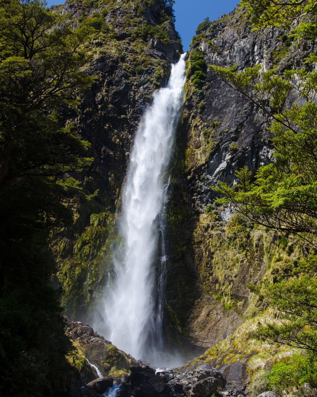 Devils Punchbowl Falls in Arthur's Pass, New Zealand, a tall narrow fall between forested rock walls
