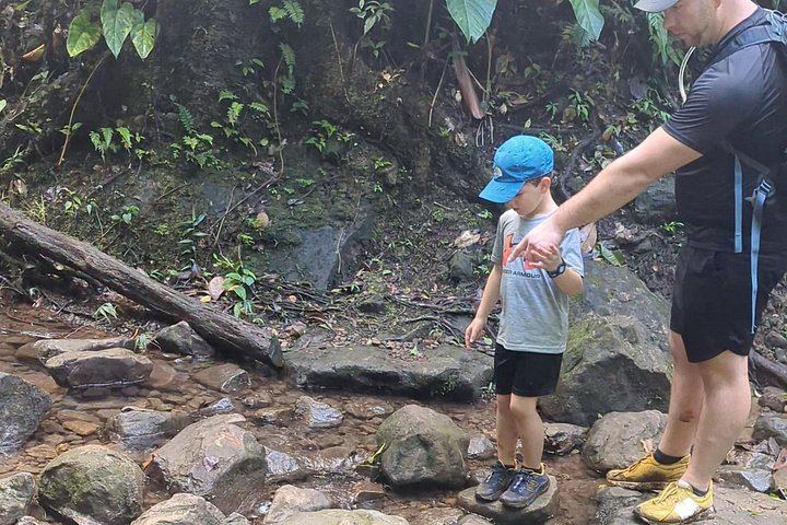 Seven-Hour Foraging Hike in Dominica: Middleham Falls, Ti Tou Gorge, Hot Springs (8/12)