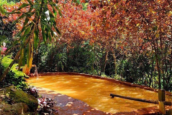 Middleham Falls Hike, Ti Tou Gorge Swim and Ti Kwen Glo Cho Hot Springs Day Tour (4/10)
