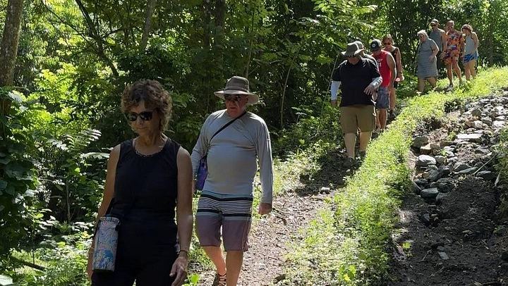 Don Chencho Waterfall and Natural Pool on Private Land, 5 to 6 Hour Small Group Hike (3/8)