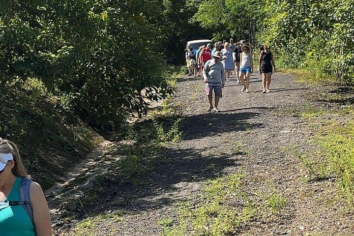 Don Chencho Waterfall and Natural Pool on Private Land, 5 to 6 Hour Small Group Hike (4/8)