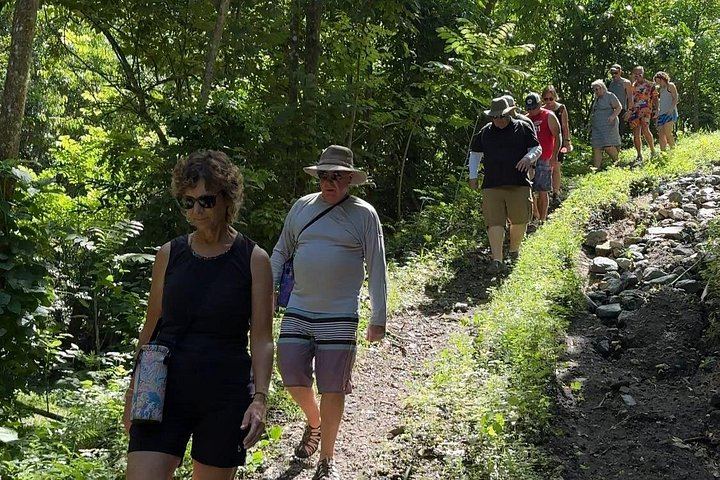 Don Chencho Waterfall and Natural Pool on Private Land, 5 to 6 Hour Small Group Hike (3/8)