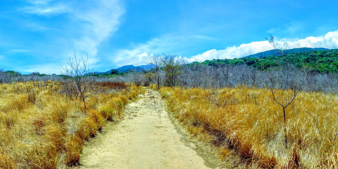 Dirt trail through golden grass and dry forest toward green hills in Rincón de la Vieja National Park, Costa Rica