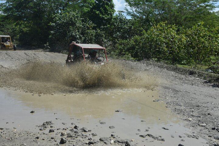 Damajagua 7 Waterfalls and Dune Buggy Ride to Vergantin Beach, 5 Hours from Puerto Plata (8/12)