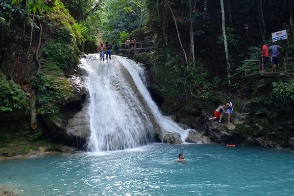 Dunn's River Falls and Blue Hole Trip with Private Transport from Montego Bay