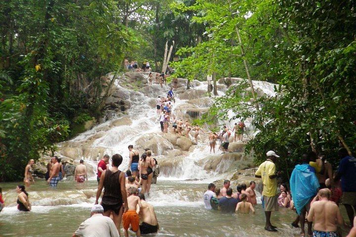Dunn's River Falls and Blue Hole Trip with Private Transport from Montego Bay (1/5)