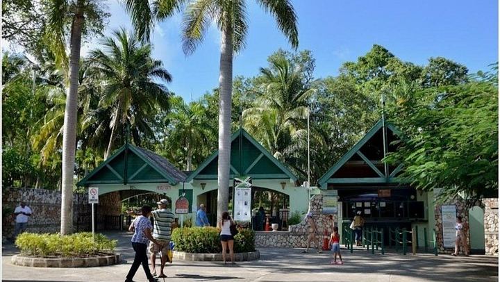 Dunn's River Falls Day Trip with Hi-Tech Tours, Green Grotto Caves Drive-By (4/7)