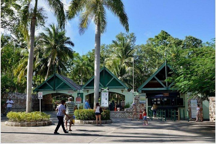 Dunn's River Falls Day Trip with Hi-Tech Tours, Green Grotto Caves Drive-By (4/7)