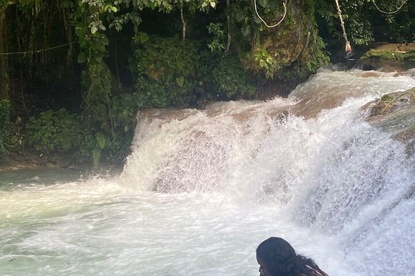 Dunn's River Falls Climb with Ocho Rios Town Shopping and Lunch Stop
