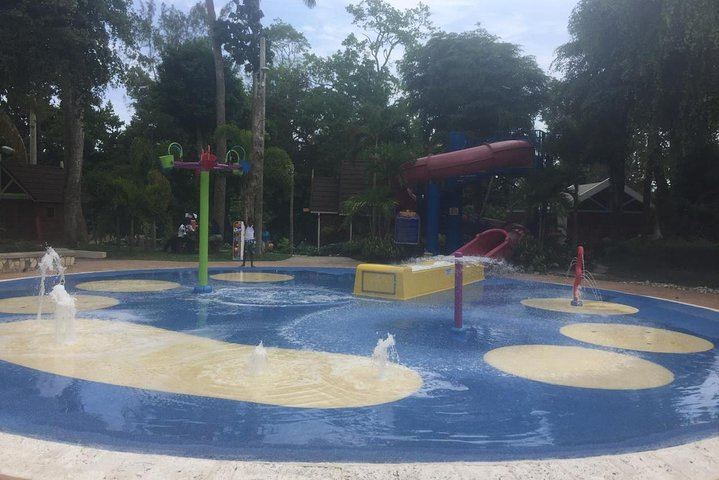 Dunn's River Falls Climb and White River Tubing with Jerk Lunch Stop, Ocho Rios (6/12)