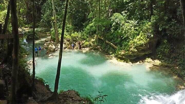 Half-Day Dunn's River Falls and Blue Hole Combo from Ocho Rios and Runaway Bay (1/5)