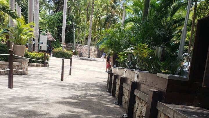 Montego Bay to Dunn's River Falls and Blue Hole with Hotel Pickup and Rose Hall Stop (2/12)