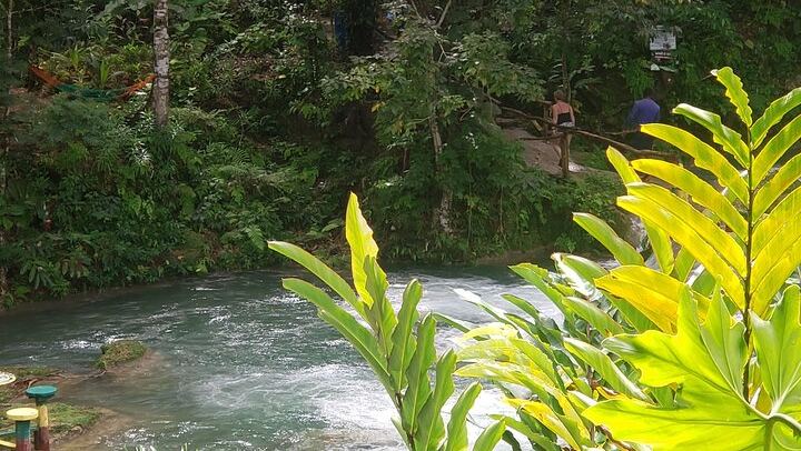 Montego Bay to Dunn's River Falls and Blue Hole with Hotel Pickup and Rose Hall Stop (4/12)