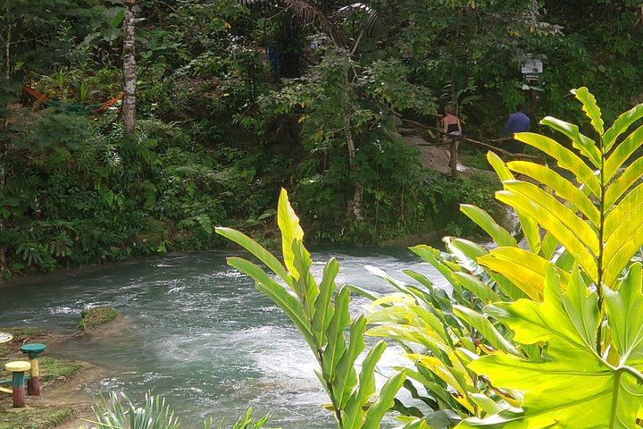 Montego Bay to Dunn's River Falls and Blue Hole with Hotel Pickup and Rose Hall Stop (4/12)
