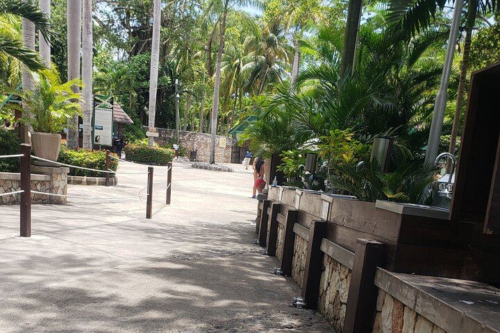 Montego Bay to Dunn's River Falls and Blue Hole with Hotel Pickup and Rose Hall Stop (2/12)