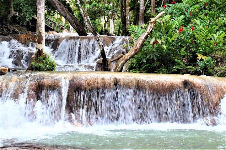 Dunn's River Falls and Luminous Lagoon Evening Tour from Montego Bay (10/12)