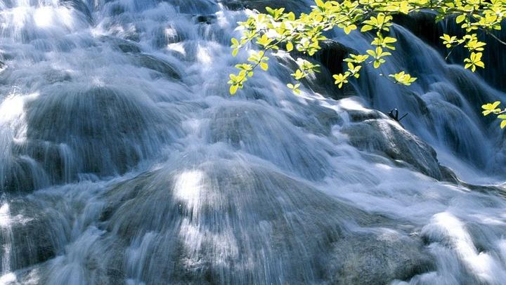 Dunn's River Falls Excursion with Best Jamaica Tours, Montego Bay Hotel Pickup (1/4)