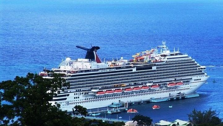 Dunn's River Falls Excursion with Best Jamaica Tours, Montego Bay Hotel Pickup (3/4)