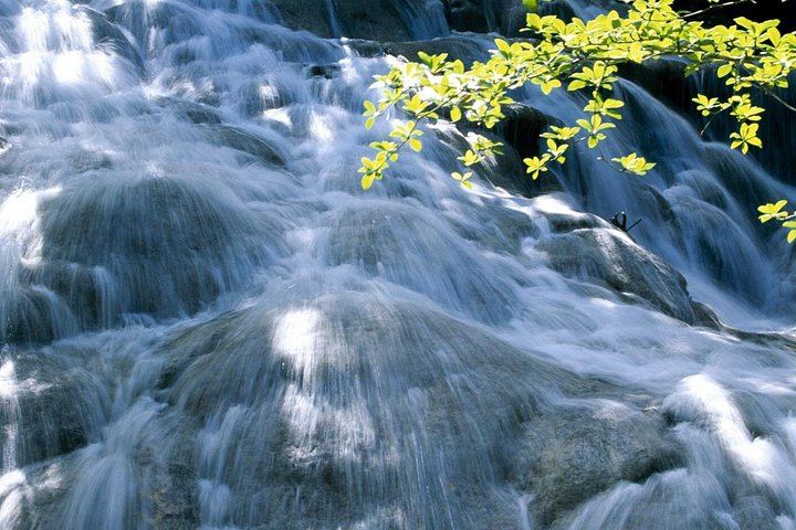 Dunn's River Falls Excursion with Best Jamaica Tours, Montego Bay Hotel Pickup (1/4)