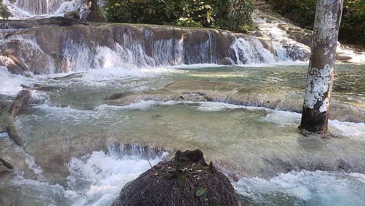 Dunn's River Falls Climb, Up to Six Travelers, from Montego Bay Resorts (3/6)