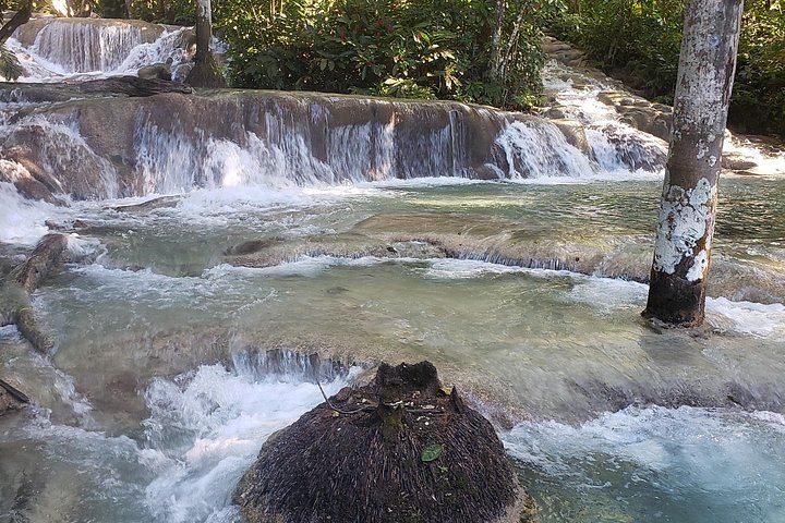 Dunn's River Falls Climb, Up to Six Travelers, from Montego Bay Resorts (3/6)