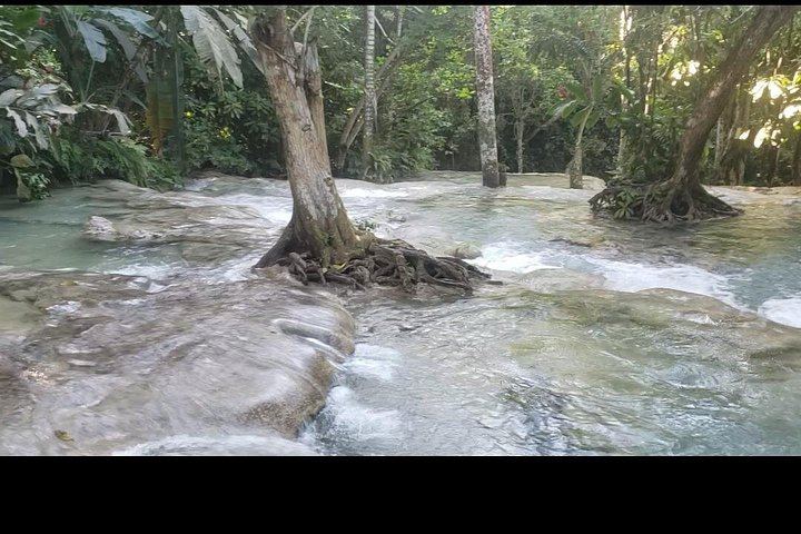 Dunn's River Falls Climb, Up to Six Travelers, from Montego Bay Resorts (6/6)