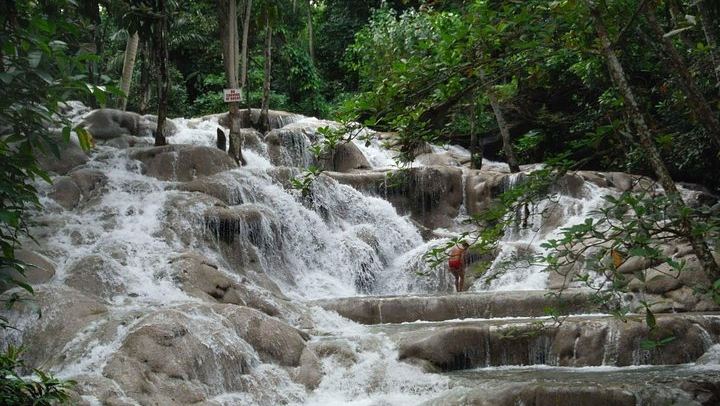Dunn's River Falls Half-Day Trip with Port or Hotel Pickup and Entrance Fee