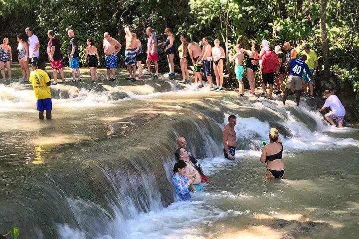 Dunn's River Falls Guided Climb and Beach Swim from Montego Bay (7/7)