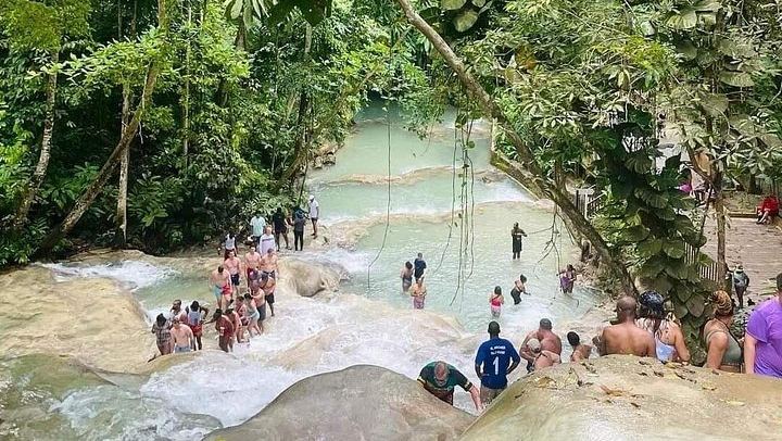 Dunn's River Falls Half-Day Tour with Premier Transfers and Tours, Montego Bay (2/12)