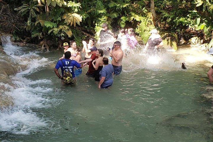 Dunn's River Falls Half-Day Tour with Premier Transfers and Tours, Montego Bay (8/12)