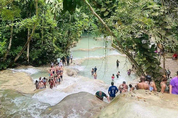 Dunn's River Falls Half-Day Tour with Premier Transfers and Tours, Montego Bay (2/12)