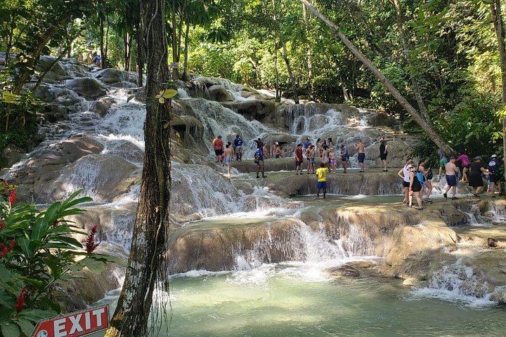 Dunn's River Falls Half-Day Tour with Premier Transfers and Tours, Montego Bay (9/12)