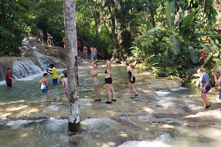 Dunn's River Falls Half-Day Tour with Premier Transfers and Tours, Montego Bay (6/12)
