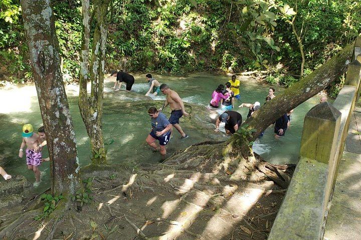Dunn's River Falls Half-Day Tour with Premier Transfers and Tours, Montego Bay (10/12)