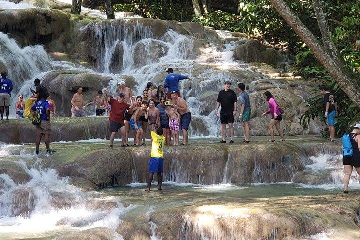 Dunn's River Falls Half-Day Tour with Premier Transfers and Tours, Montego Bay (4/12)