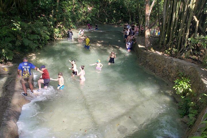 Dunn's River Falls Half-Day Tour with Premier Transfers and Tours, Montego Bay (11/12)