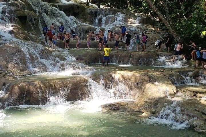 Dunn's River Falls Half-Day Tour with Premier Transfers and Tours, Montego Bay (12/12)