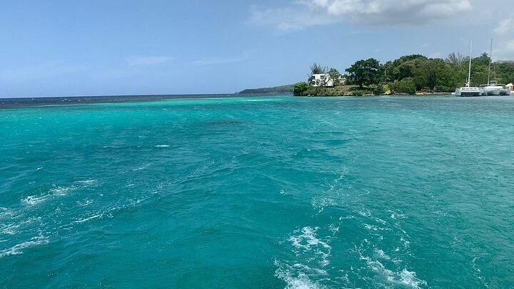 Dunn's River Falls Party Cruise with Reef Snorkeling, Live DJ and Open Bar (4/5)