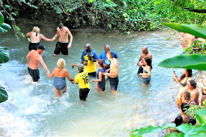 Dunn's River Falls and Luminous Lagoon Evening Tour from Montego Bay (9/12)