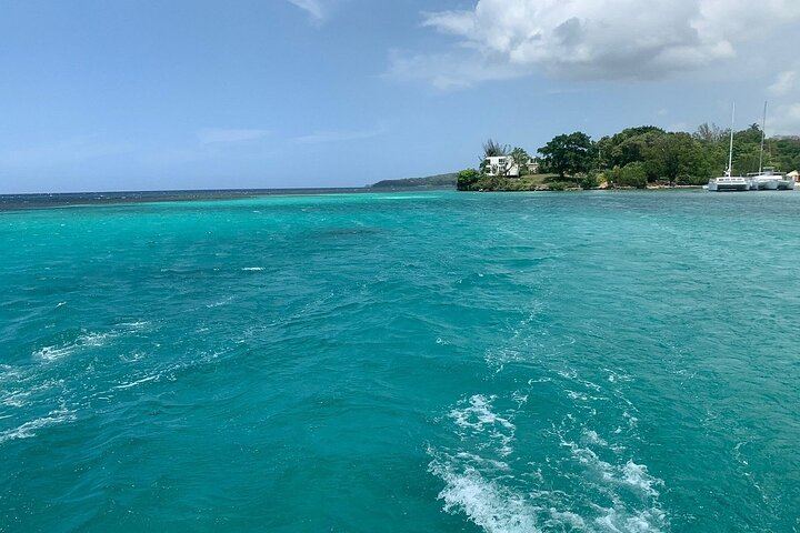 Dunn's River Falls Party Cruise with Reef Snorkeling, Live DJ and Open Bar (4/5)